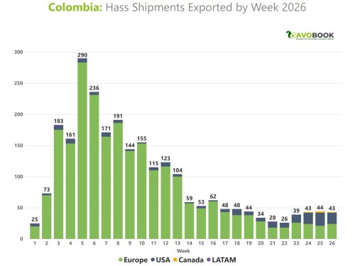 Colombian avocado: from peak to lowest point