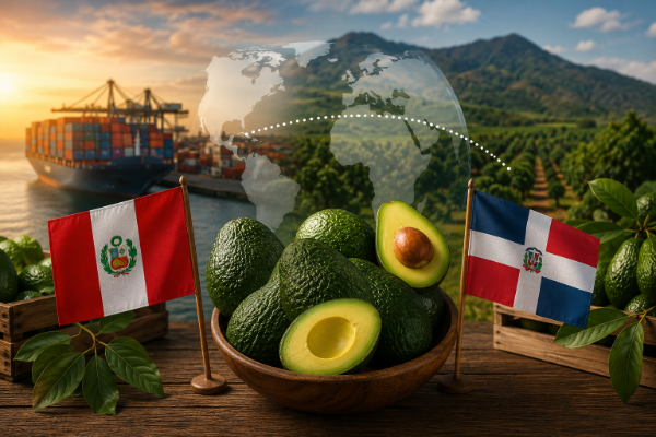 Representación gráfica del comercio global y la complementariedad de las ventanas de exportación de aguacate Hass entre Perú y República Dominicana.