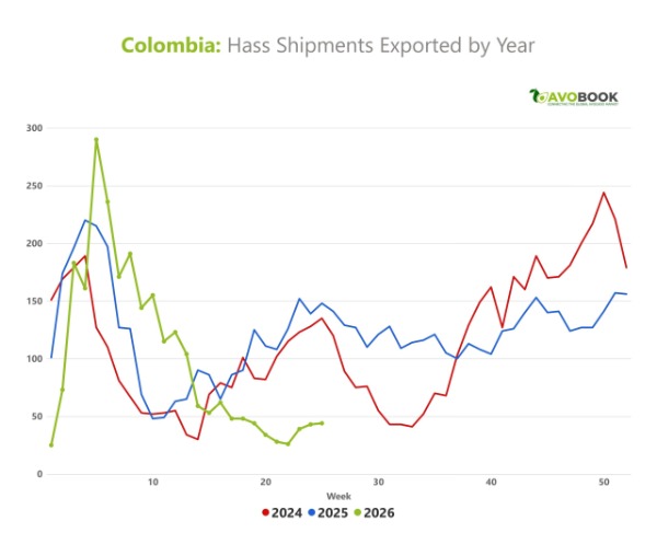 Line graph comparing Colombia's avocado export curves between the 2024, 2025, and 2026 seasons.