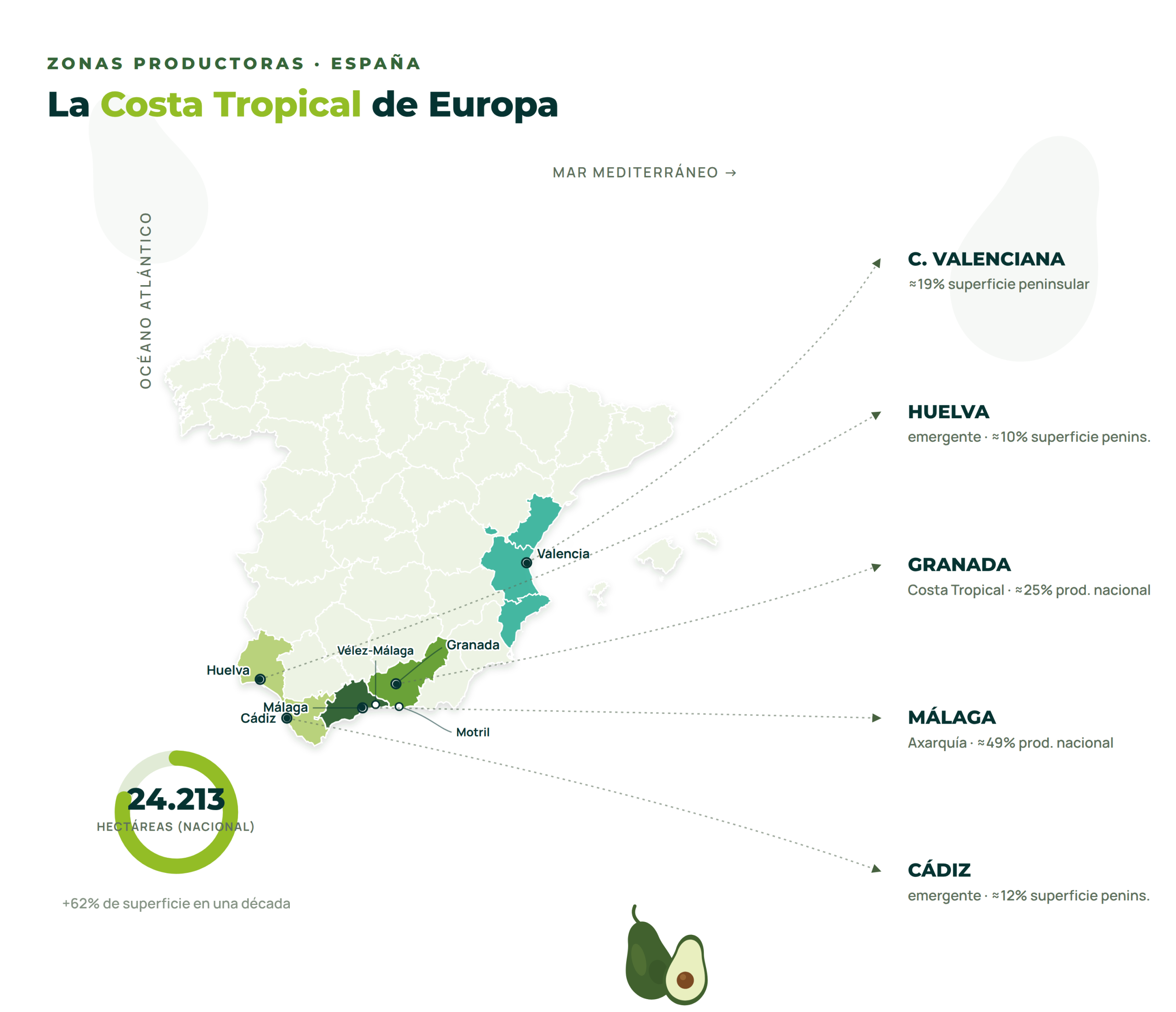Zona productiva aguacate España