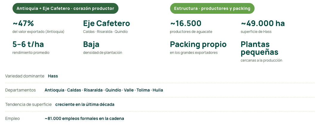 Productores y hectáreas por zona aguacate Colombia