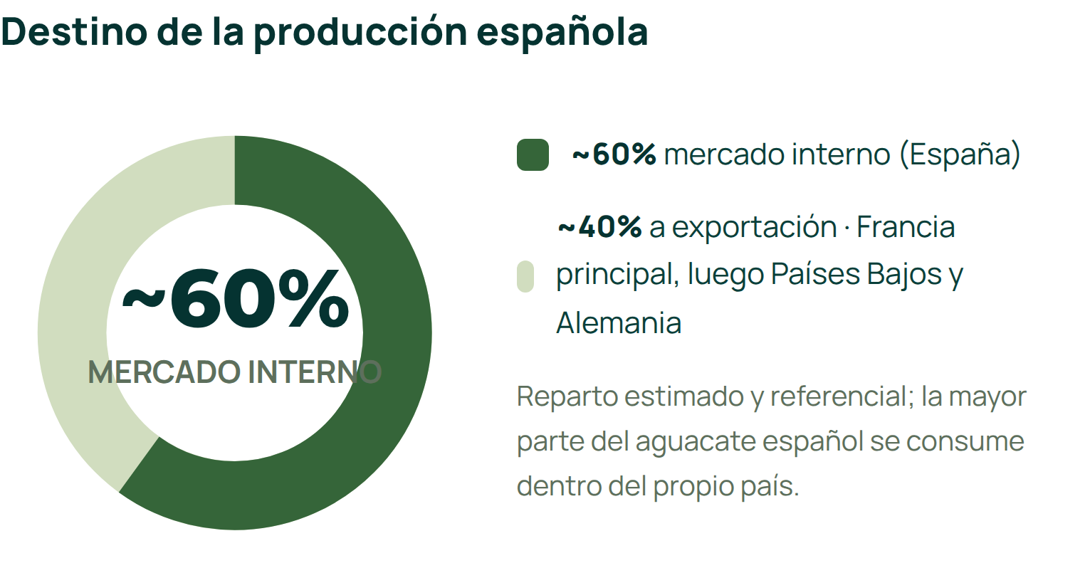 Mercado nacional aguacate España