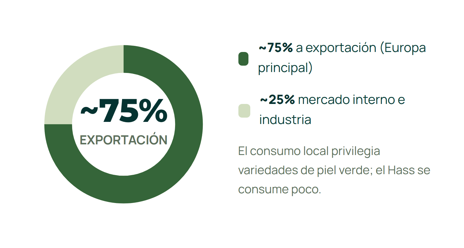 Mercado nacional aguacate Colombia