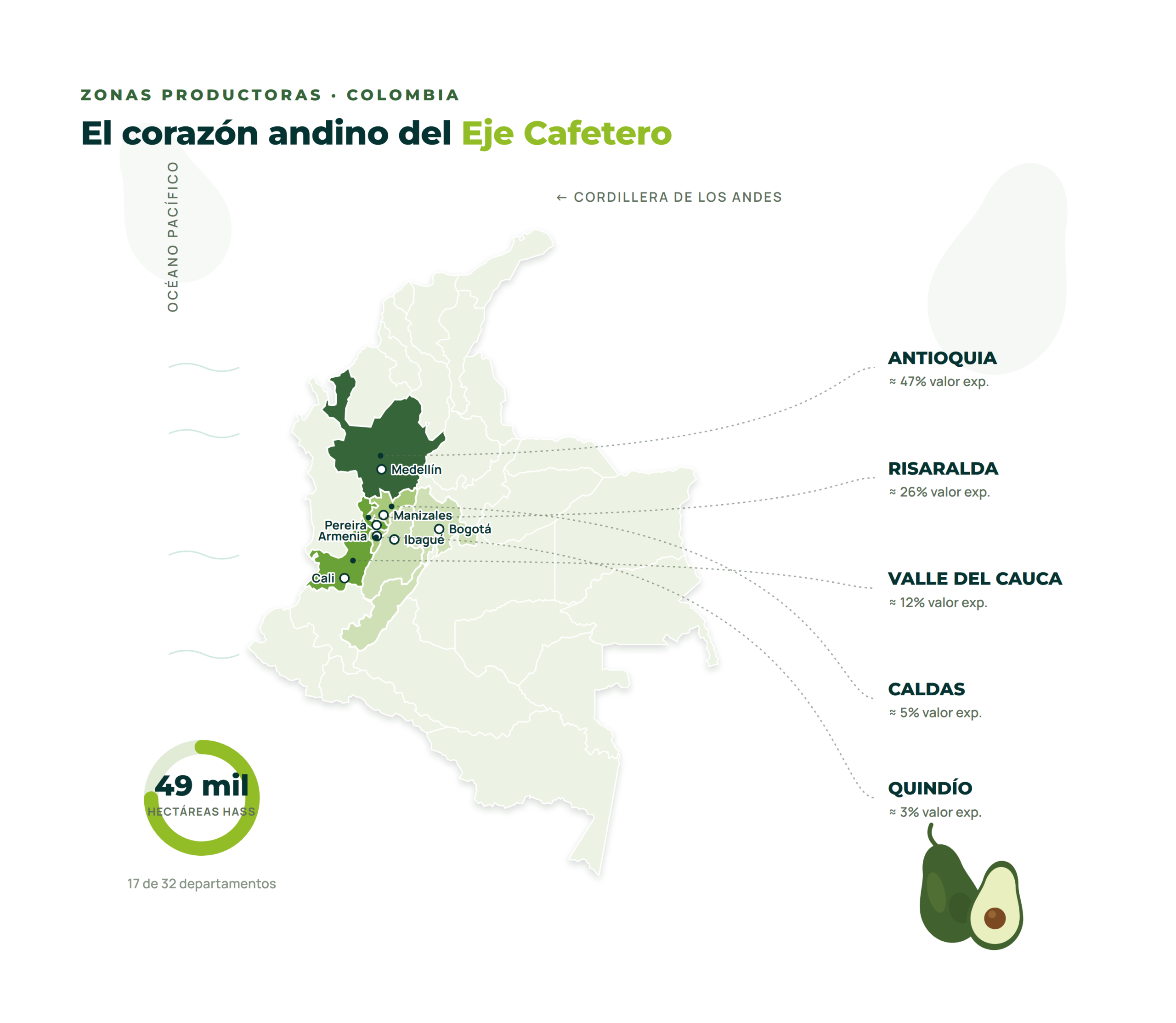Zona productiva aguacate Colombia
