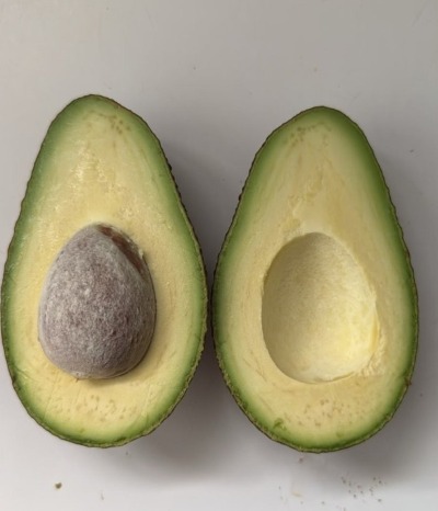 Two opened Hass avocado halves showing a green and creamy pulp of excellent quality, with no internal browning after cold events in the orchard.