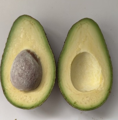 Dos mitades de palta Hass abiertas que muestran una pulpa verde y cremosa de excelente calidad, sin pardeamiento interno tras eventos de frío en el huerto.