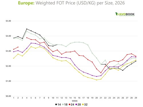 Medium and small calibers are gaining ground in the US