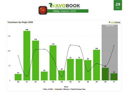 China: Volume rebound and slight rise in prices