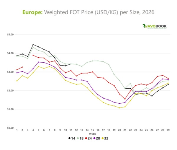 Weighted FOT price chart in USD per kilo for different sizes of avocado in Europe during 2026.