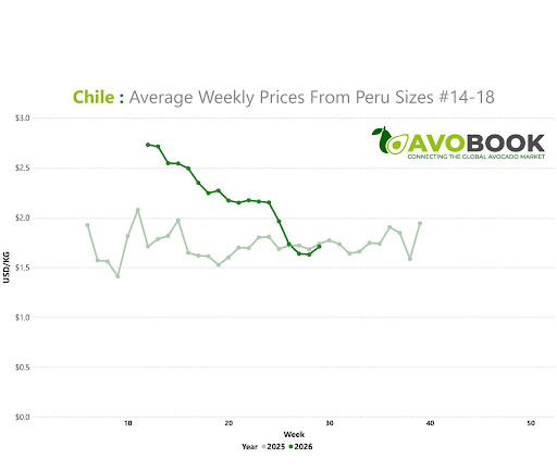 Gráfico de cotización media semanal en USD por kilo para aguacate peruano calibres 14 al 18 en Chile.