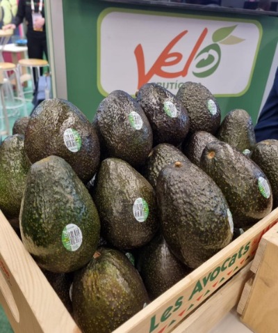 Wooden box with export Hass avocados from Fruticola Velo with quality seals.