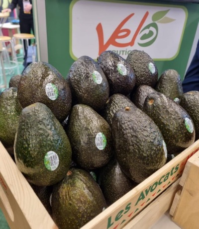 Caja de madera con aguacates Hass de exportacion de Fruticola Velo con sellos de calidad. 