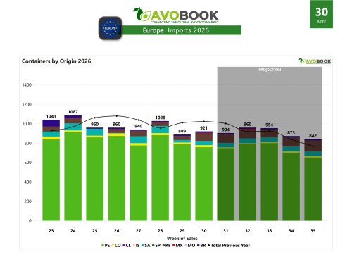 Europe: Medium sizes on the rise in Rotterdam and Spain