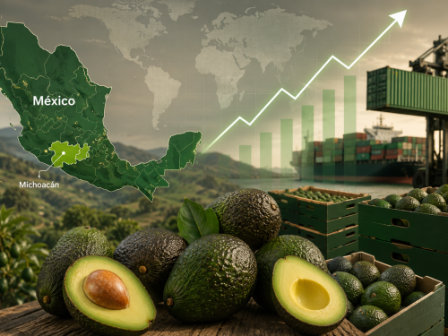 Mexico leads the world in Hass avocado supply with Michoacán
