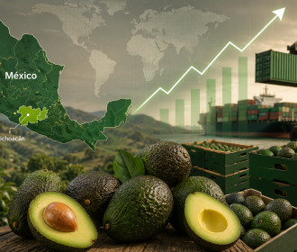 Mexico leads the world in Hass avocado supply with Michoacán