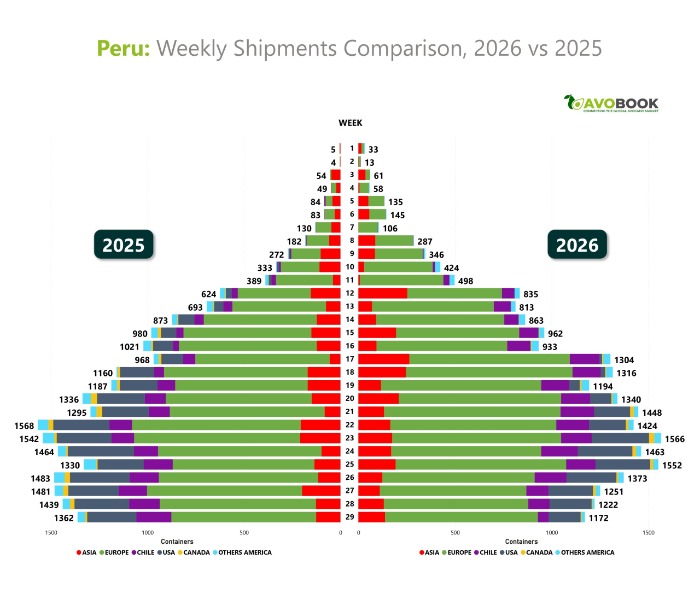 Comparative chart of weekly avocado shipments from Peru by destination market between 2025 and 2026.