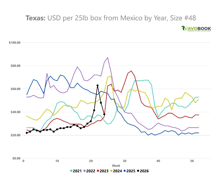 Gráfico comparativo histórico de precios del aguacate calibre 48 en Texas entre 2021 y 2026. 