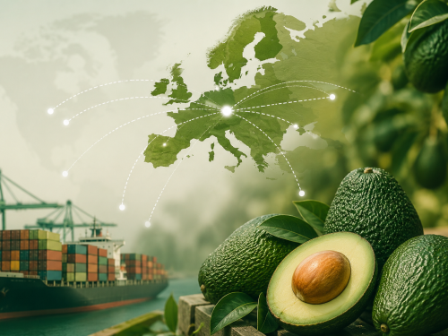 Which countries lead avocado imports in Europe?