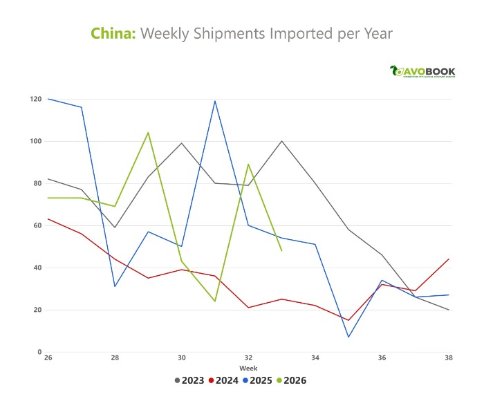 Gráfico comparativo semanal de envíos de aguacate importados en China por año. 