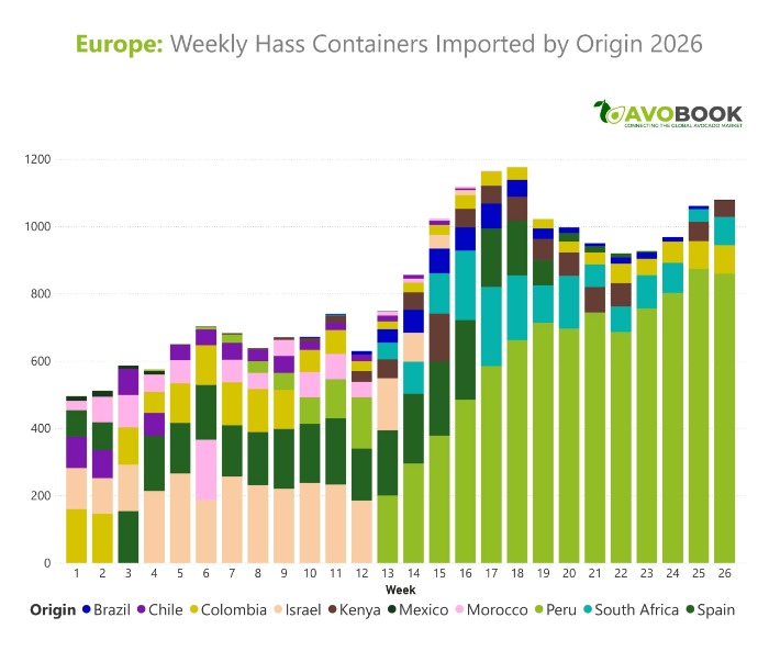 Gráfico de contenedores semanales de aguacate importados en Europa por origen 2026.