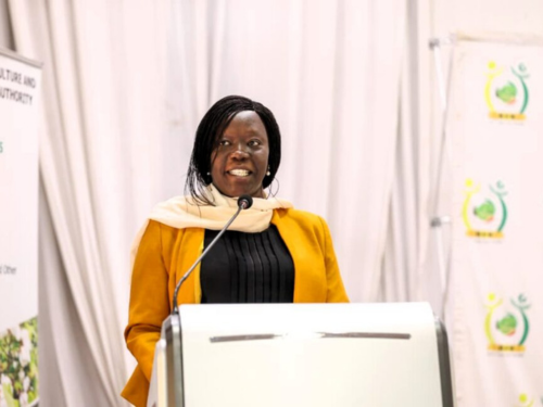 Kenia apunta a ser el tercer exportador mundial de aguacate