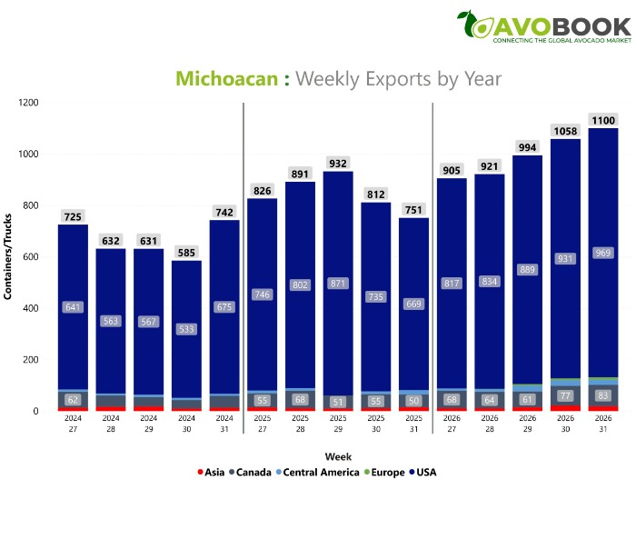 Gráfico de barras de AvoBook que compara los embarques semanales de aguacate de Michoacán entre 2024 y 2026. 