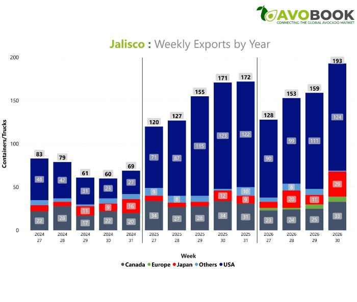 Gráfica de exportaciones de aguacate de Jalisco por semana y mercado de destino entre 2024 y 2026. 