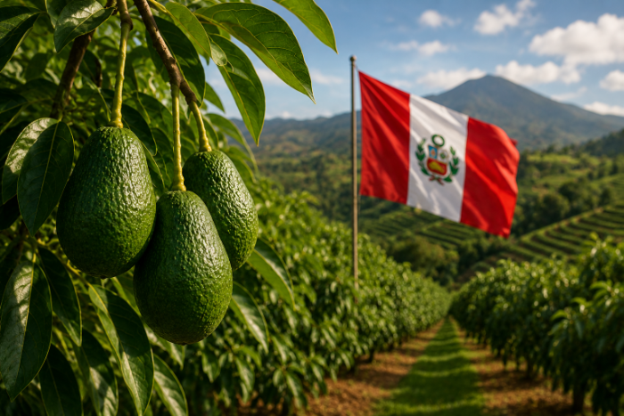 Celebración del primer Día Nacional de la Palta Peruana en reconocimiento a su industria agroexportadora.