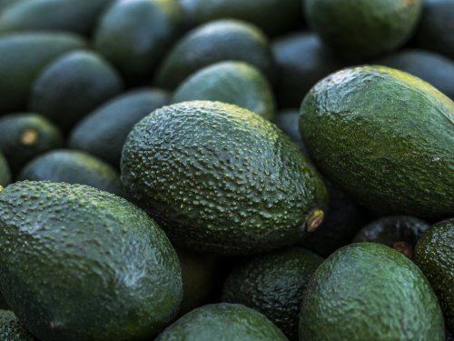Chilean avocados project 285,000 tons for the 2026-27 season, their highest level in 17 years