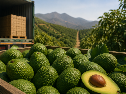 Peru begins its descent: the keys to the end of the season