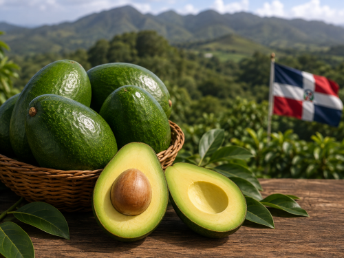 Aguacate dominicano de piel verde amplía horizontes