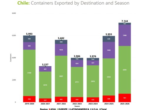 Análisis profundo al aguacate chileno: récord exportador abre preguntas para la temporada 2026-2027