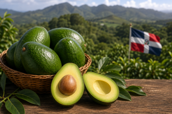 Canasta de aguacates de piel verde variedad Semil 34 y Carla sobre fondo de paisajes dominicanos y bandera nacional.