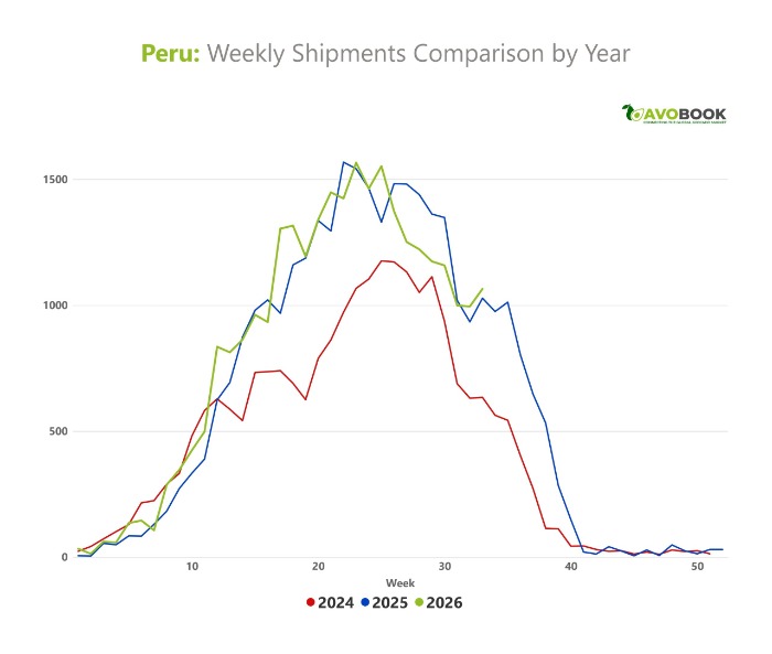 Comparative line chart of weekly avocado shipments from Peru between 2024, 2025 and 2026.