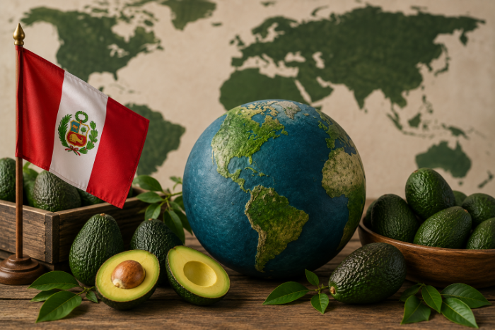 Bandera de Perú junto a aguacates Hass y un globo terráqueo sobre mapa mundial. 