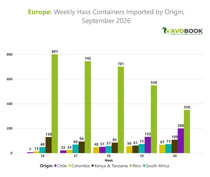 Gráfico de barras de AvoBook sobre importación semanal de contenedores de aguacate Hass en Europa por origen en septiembre de 2026.
