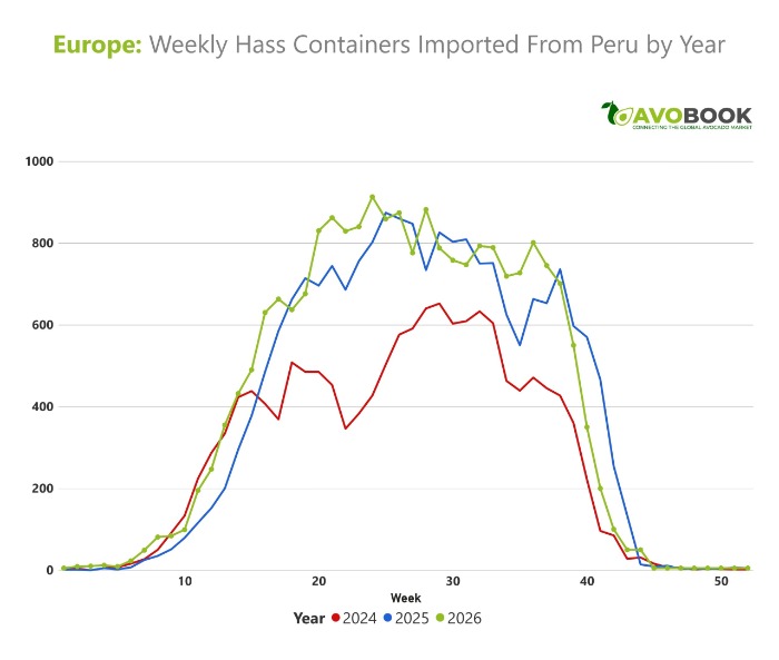 Annual comparative chart of weekly container imports of Peruvian Hass avocados to Europe for 2024, 2025, and 2026.