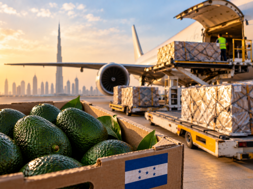 Honduras realiza su primer envío aéreo de aguacate a Dubái