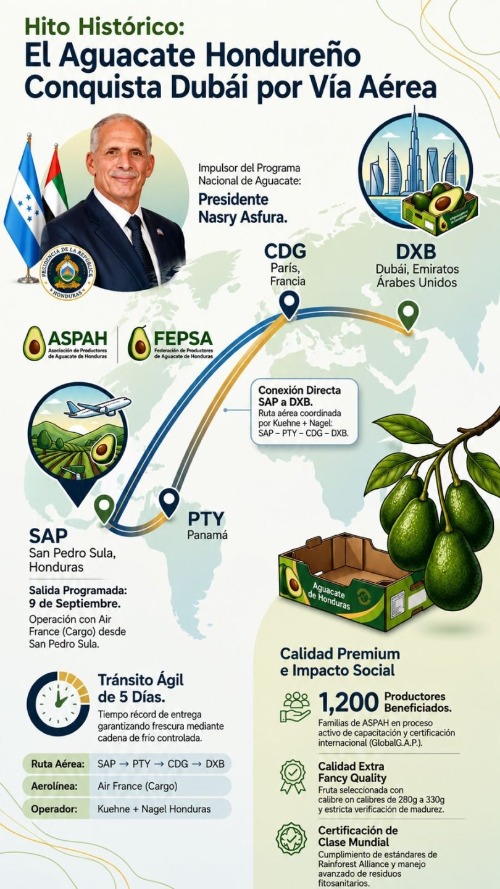 Infografía del envío aéreo de aguacate hondureño a Dubái vía San Pedro Sula, Panamá y París con apoyo de ASPAH y Kuehne + Nagel. 