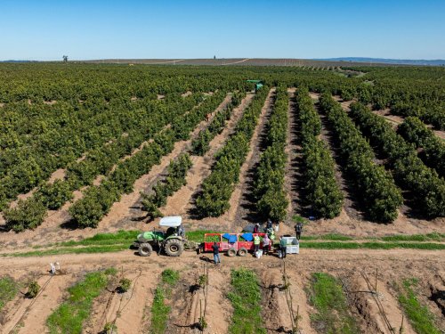 Baika starts the season with a potential of 16,000 tons