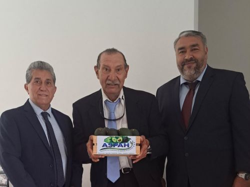 Ing. Antonio Romero, Asistente técnico.  Ing.  Luis Morcillo, vocal . Ing Carlos Robleto , presidente de ASPAH