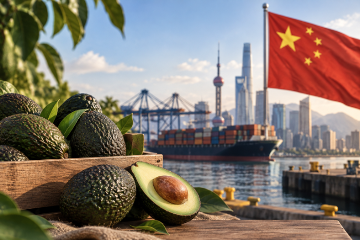 Box of Hass avocados from Ecuador with the Chinese flag in the background and a container ship arriving at the port of Shanghai.