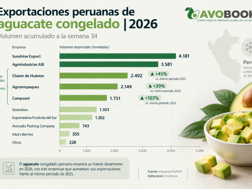 Three companies gain ground in Peru's frozen avocado market