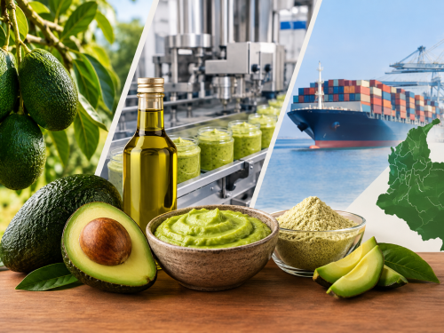 AOMA busca reforzar la verificación del aceite de aguacate