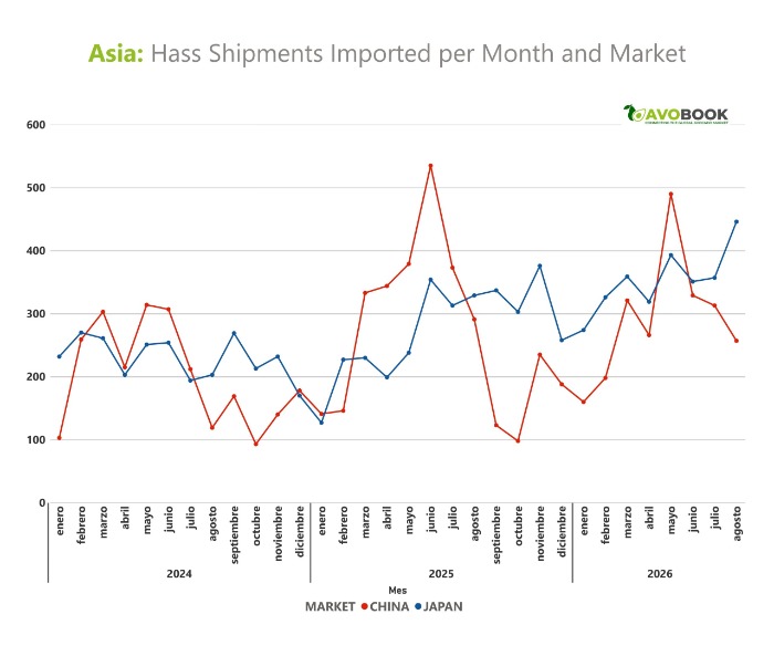 Gráfico comparativo de AvoBook sobre el flujo mensual de embarques de aguacate Hass en China y Japón de 2024 a 2026.