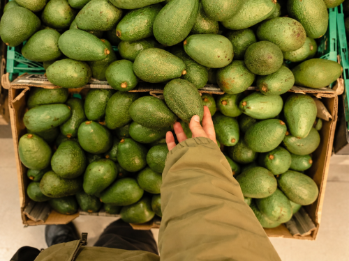 Madurez y variedad: la brecha del retail de aguacate en EE.UU.