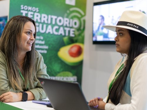 Productivity and markets define Avocado Territory 2026