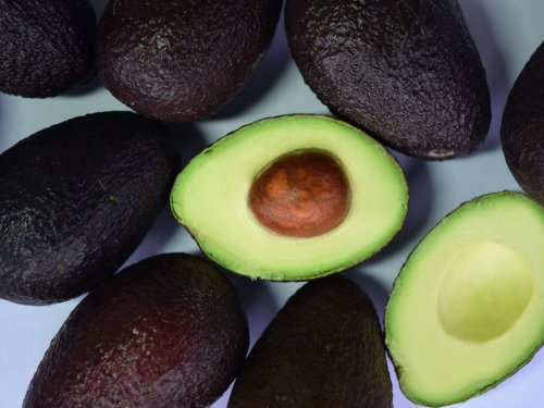 Tecnología responde al reto de conservar el aguacate