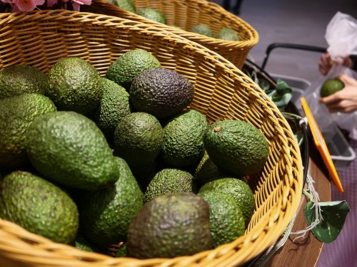 Importación de aguacate en Argentina: Brasil gana espacio