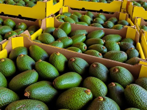 Nuevas señales de consumo en China